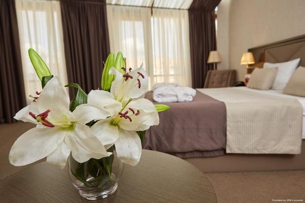 SK Royal Hotel Tula